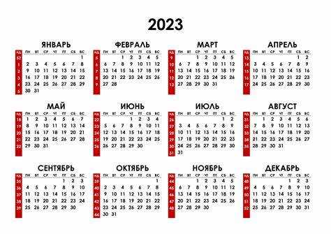 Как использовать информацию о 17 неделе для планирования мероприятий